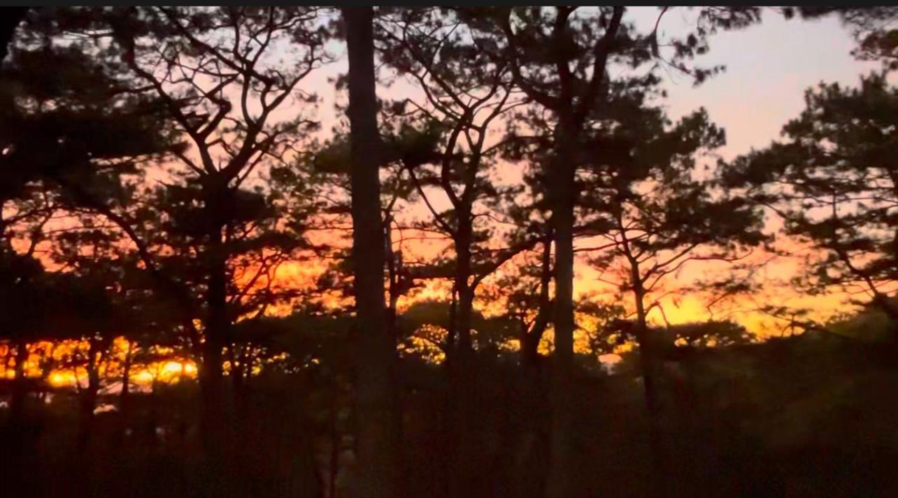 Campjohnhay Forest Estate Baguio City Kültér fotó